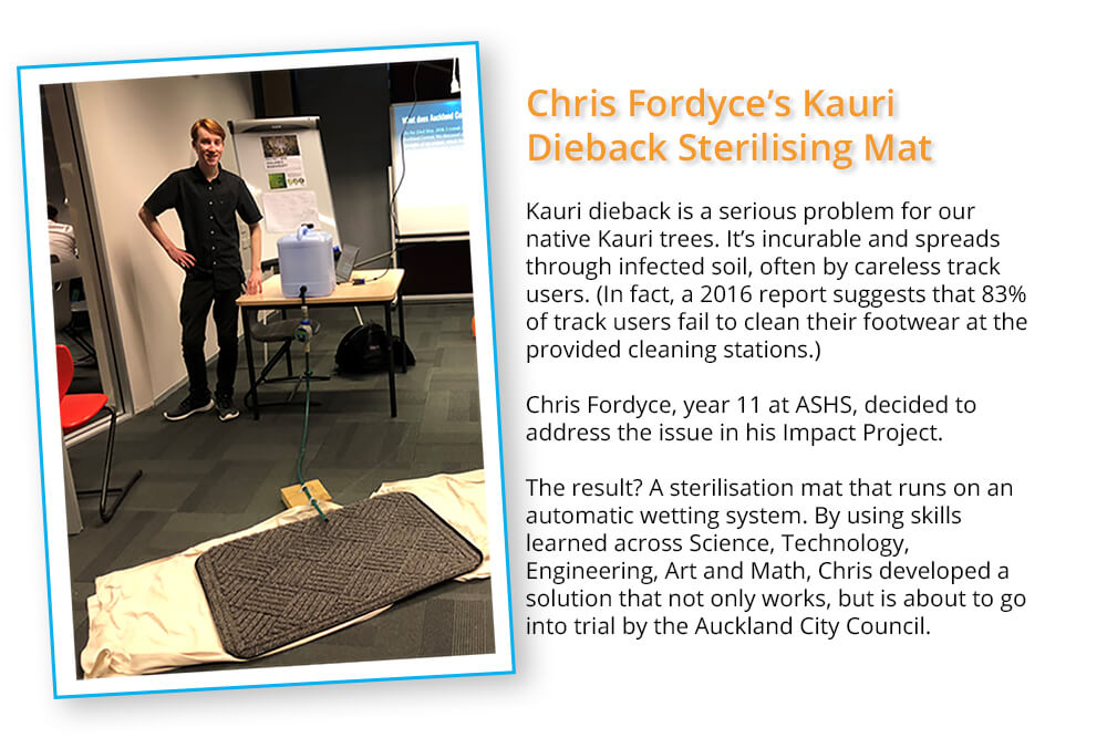 Kauri Dieback Sterilising Mat